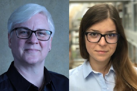 Beskrivelse av bildet